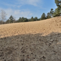 Písečný přesyp (Písty u Nymburka)