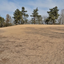 Písečný přesyp (Písty u Nymburka)