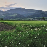 zgornja-vizinga_03