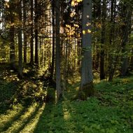 zmudsky-narodni-park_12