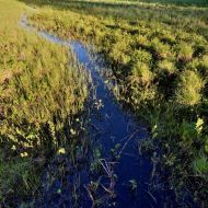 zmudsky-narodni-park_15