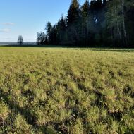 zmudsky-narodni-park_16