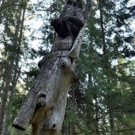 zmudsky-narodni-park_22