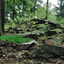 Plešivec - hřeben