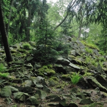 Plešivec - hřeben