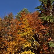 podzimni-velky-blanik_01