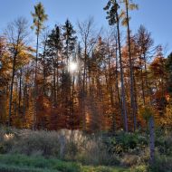 podzimni-velky-blanik_02