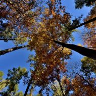 podzimni-velky-blanik_06