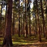 podzimni-velky-blanik_07