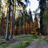 podzimni-velky-blanik_10