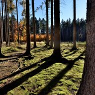 podzimni-velky-blanik_11