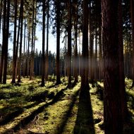 podzimni-velky-blanik_12