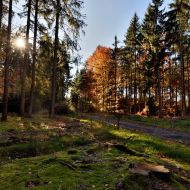 podzimni-velky-blanik_13