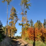 podzimni-velky-blanik_15