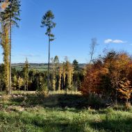 podzimni-velky-blanik_17