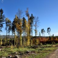 podzimni-velky-blanik_18