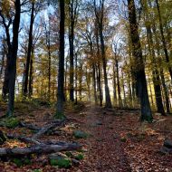 podzimni-velky-blanik_21