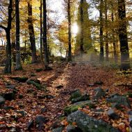 podzimni-velky-blanik_23