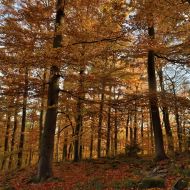 podzimni-velky-blanik_31