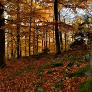 podzimni-velky-blanik_32