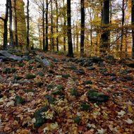 podzimni-velky-blanik_33