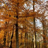 podzimni-velky-blanik_34