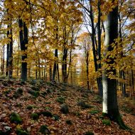 podzimni-velky-blanik_35