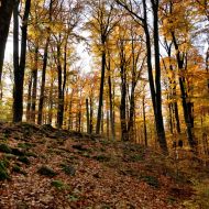 podzimni-velky-blanik_36