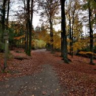 podzimni-velky-blanik_44