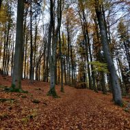 podzimni-velky-blanik_45