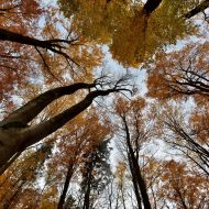 podzimni-velky-blanik_46