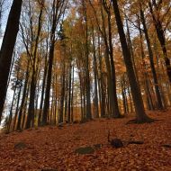 podzimni-velky-blanik_47