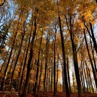 podzimni-velky-blanik_48