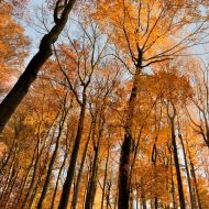 podzimni-velky-blanik_50