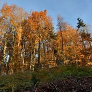 podzimni-velky-blanik_51