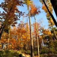 podzimni-velky-blanik_54