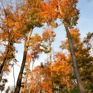 podzimni-velky-blanik_55