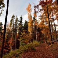 podzimni-velky-blanik_56