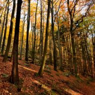 podzimni-velky-blanik_57