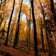 podzimni-velky-blanik_58