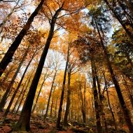 podzimni-velky-blanik_59