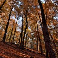 podzimni-velky-blanik_61