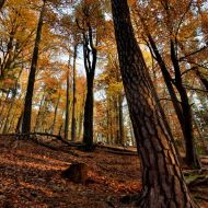 podzimni-velky-blanik_62