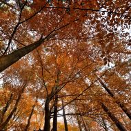 podzimni-velky-blanik_63