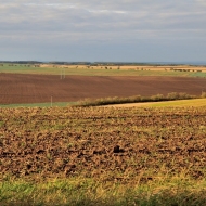 Podzimní pole v Polabí
