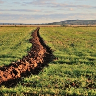 Podzimní pole v Polabí