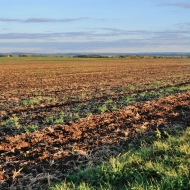 Podzimní pole v Polabí u Chrášťaň