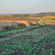 Podzimní pole v Polabí u Chrášťaň