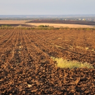 Podzimní pole v Polabí u Chrášťaň