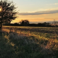 Pozdní odpoledne na poli u Chrášťan